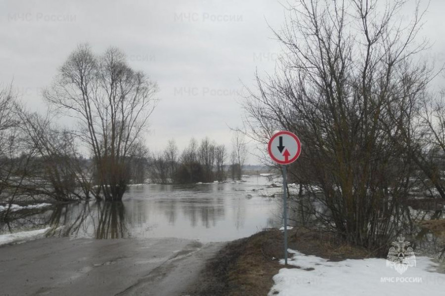 В Мичуринском округе под воду ушел мост у села Старая Казинка