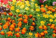 DSC_8179.jpg