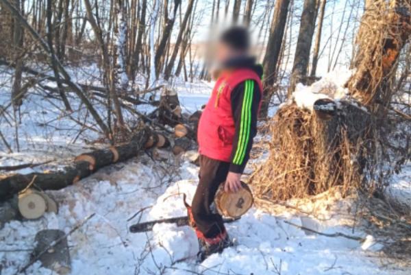 Жителя Тамбовской области задержали за незаконную рубку деревьев