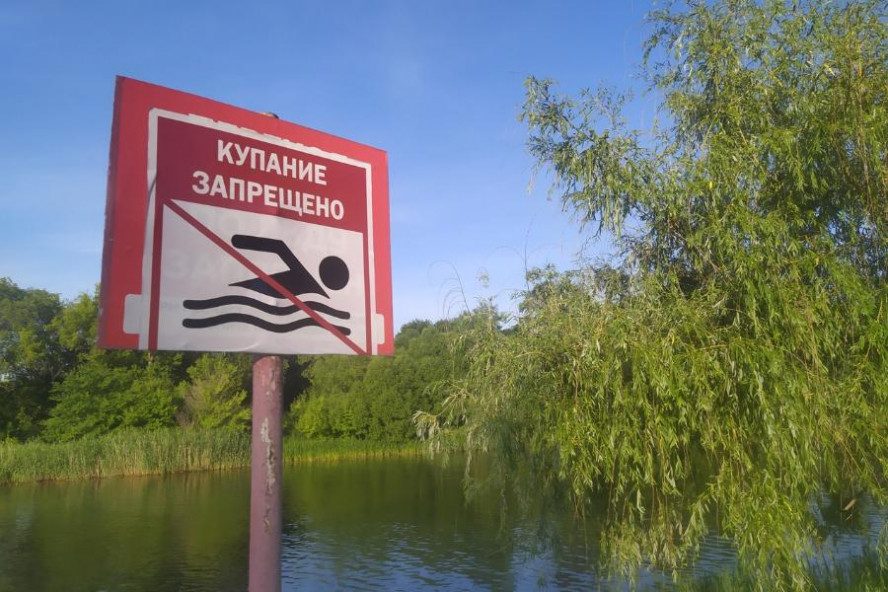 В тамбовских реках запретили купаться из-за выявленного возбудителя холеры