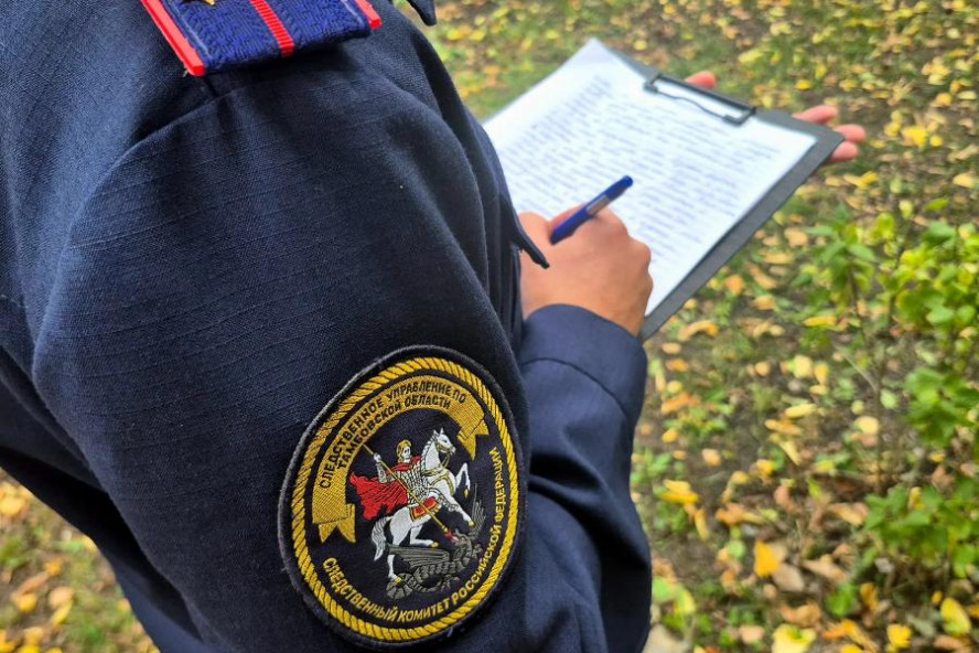 В Тамбовской области вынесен приговор за стрельбу в парке