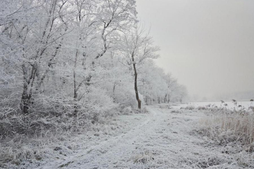 В Тамбовской области 18 ноября ожидается сильный снег с дождем