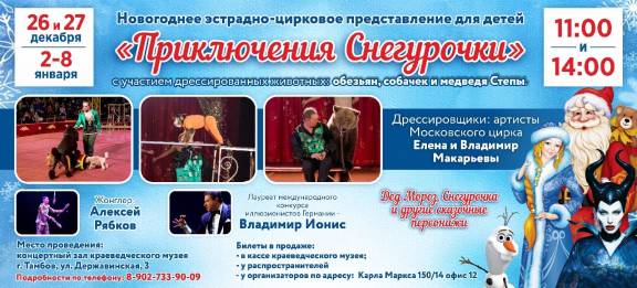 Новогоднее эстрадно-цирковое представление для детей "Приключения Снегурочки"