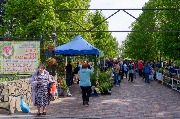 DSC_8065.jpg