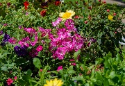 DSC_8238.jpg