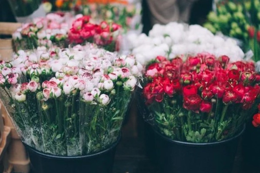 Продавцы предупредили о рекордном подорожании цветов к 8 марта