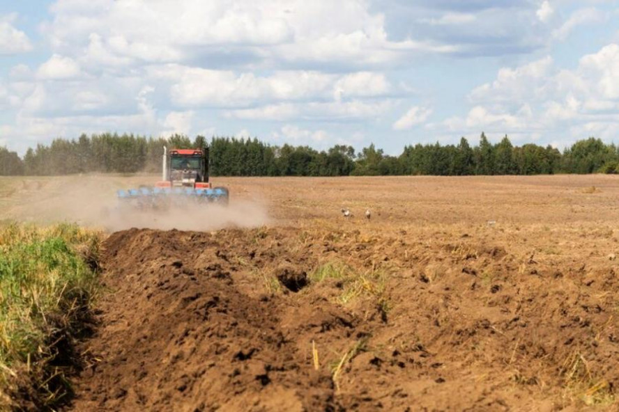 В Тамбовской области неэффективно используемые земли введут в сельхозоборот