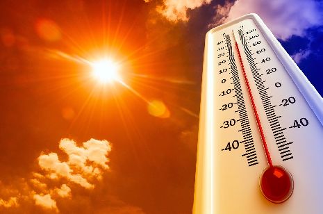 В Тамбовской области в ближайшие дни установится аномальная жара