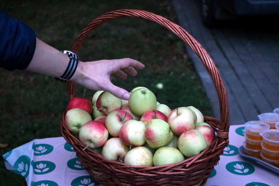 Яблочный спас в Тамбове отметили песнями и сладкими угощениями