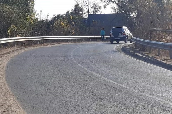 Тамбовские активисты ОНФ обнаружили небезопасные участки на школьных маршрутах