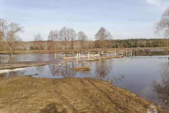 За сутки уровень воды в реках Тамбовской области понизился от 1 до 11 см
