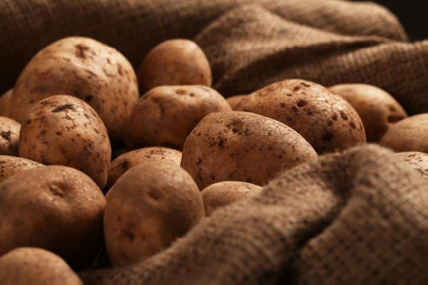 Снижение цен на картофель ожидается только в июне