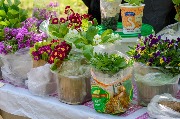 DSC_8090.jpg