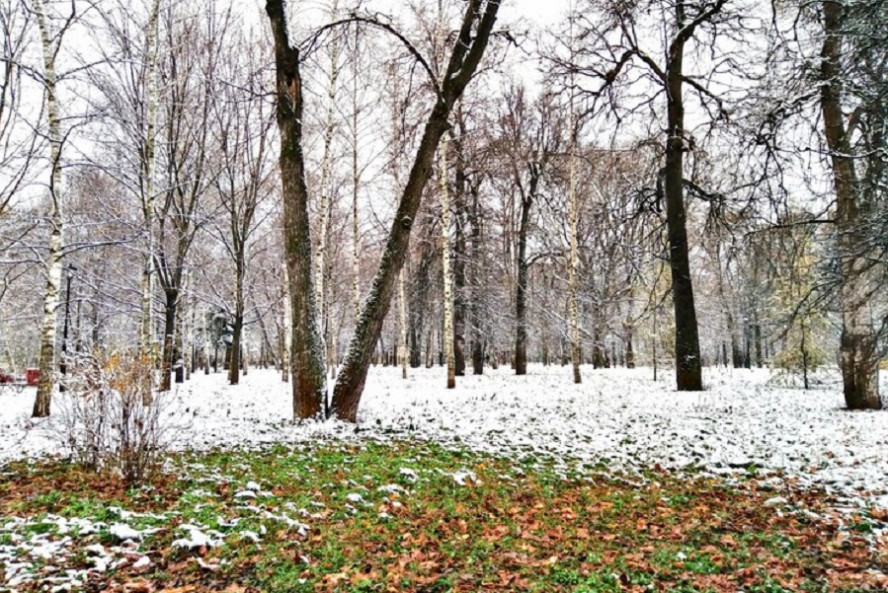 Тамбовчан предупредили о скором наступлении зимы