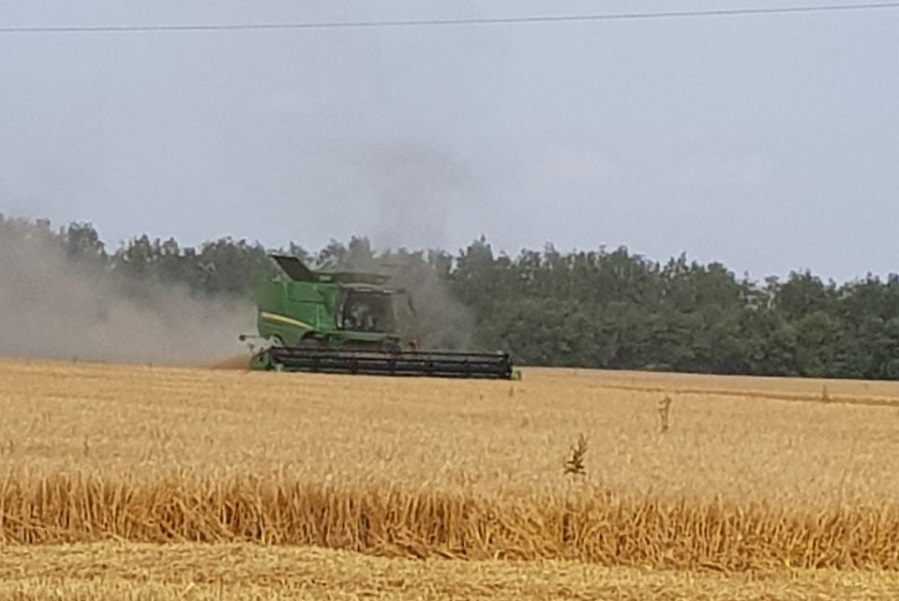 В Тамбовской области собрали два миллиона тонн зерна