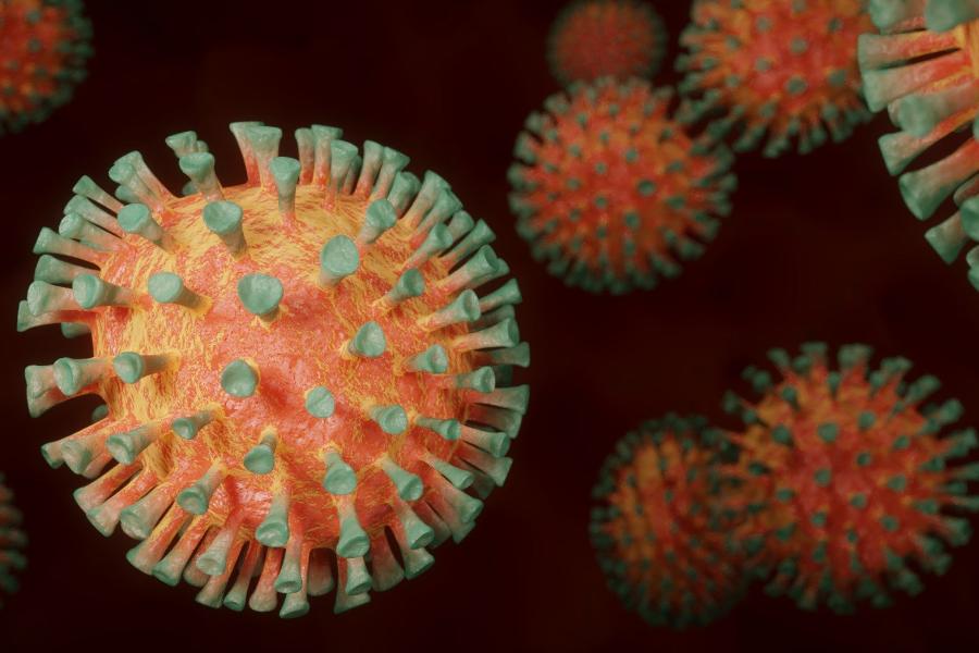После новогодних праздников число заболевших коронавирусом может возрасти
