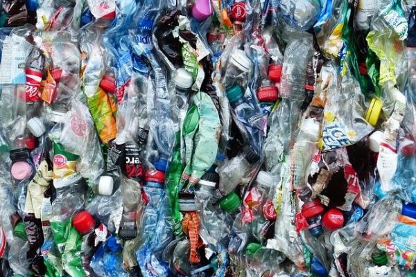 В России призвали к постепенному отказу от пластиковой посуды