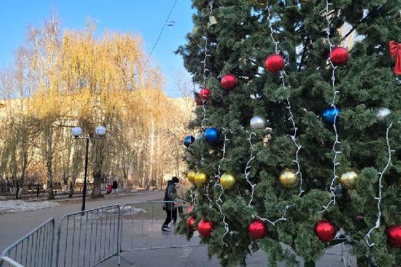 Около ста дворов в Тамбове украсят новогодними елками