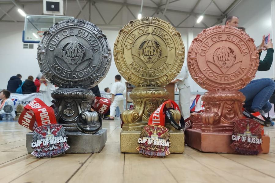 Тамбовчане завоевали 11 медалей на Кубке России по киокусинкай каратэ