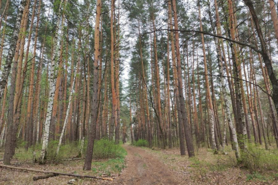Лесхозы Тамбовской области получили шесть дронов "Геоскан 801"