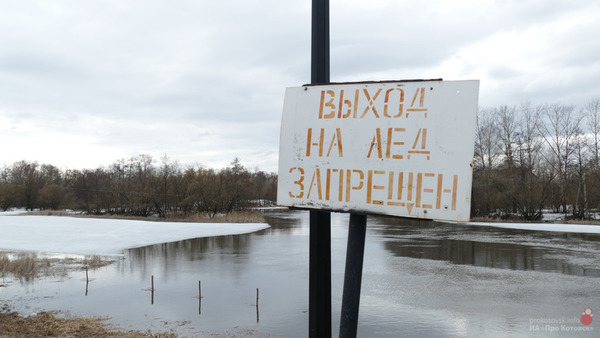 В Котовске за два дня резко увеличился уровень воды в Цне