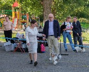DSCF9246.jpg