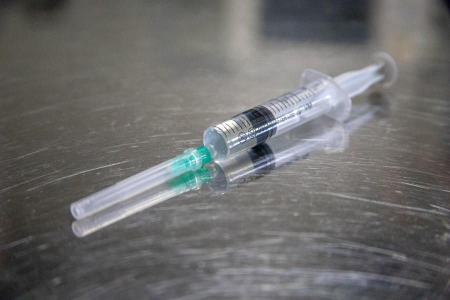 В России разрабатывается вакцина от коронавируса для животных
