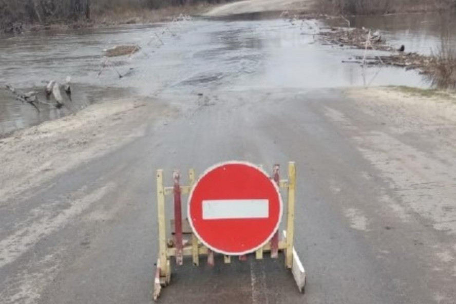 От 15 сантиметров до 1 метра 69 сантиметров: в Тамбовской области затоплены три моста