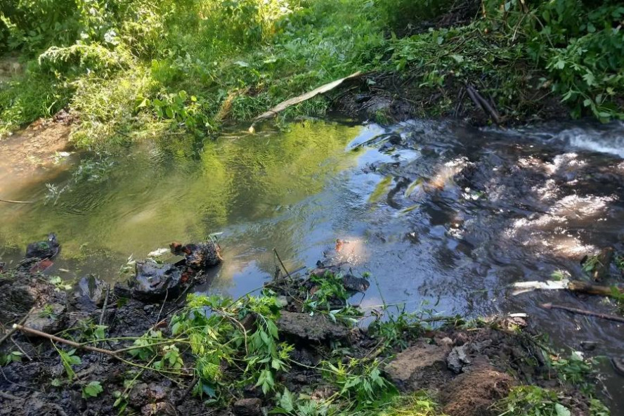 В Сосновском округе после вмешательства прокуратуры расчистили русло реки от мусора