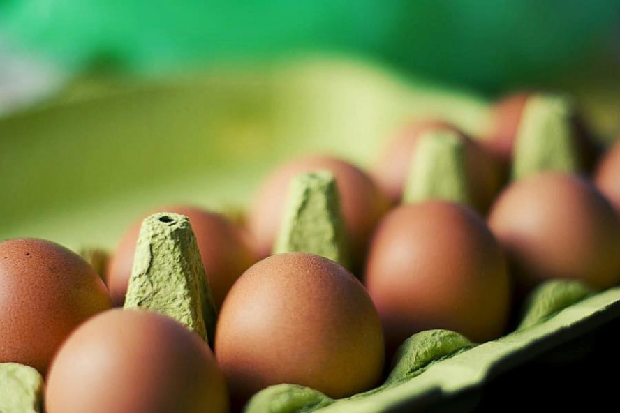 В Кремле прокомментировали небыстрое снижение цен на яйца
