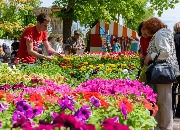 DSC_8130.jpg