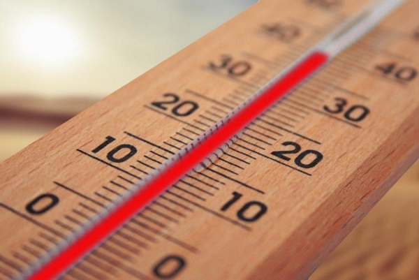 До 38 градусов жары прогнозируется в Тамбовской области