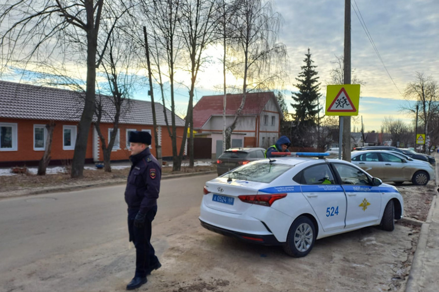 В Тамбовской области за сутки поймали 9 нетрезвых водителей