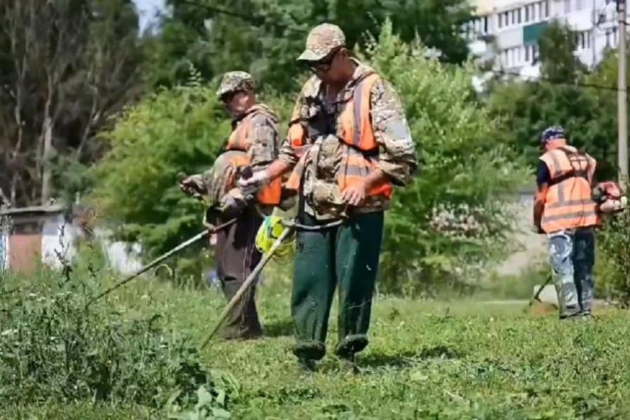 В Тамбове продолжается борьба с сорной растительностью