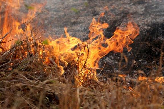 МЧС предупредило тамбовчан об установлении высокой пожароопасности
