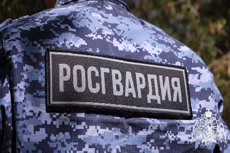 За две недели в Тамбовской области пресекли более 40 правонарушений