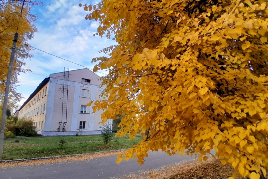 Итоги дня: жителя области подозревают в госизмене, вандализм в Мичуринске, непроезжая дорога к дачам