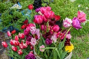 DSC_8173.jpg