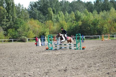 Тамбовчанин выиграл серебро в Кубке губернатора Белгородской области по конному спорту