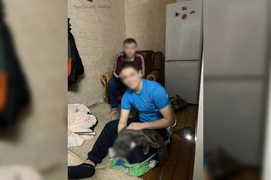 Осуждены трое юных тамбовчан, до смерти избивших домашнего кота