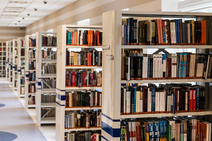 Тамбовские библиотеки работают с читателями в онлайн-режиме