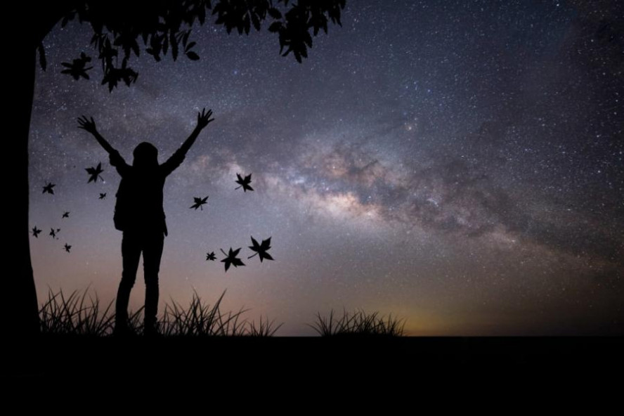 Как тамбовчанам сделать на смартфон красивые фото звёздного неба в августе 