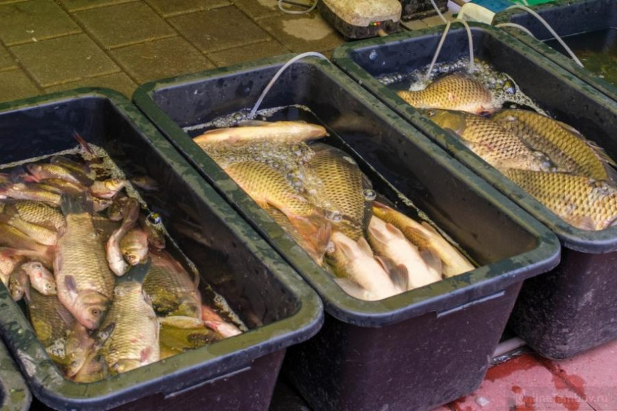 В Тамбовской области с прилавков изъяли 14 партий некачественной рыбной продукции