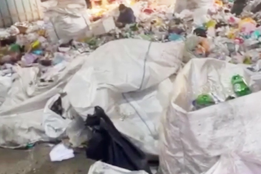В сети появилась жалоба тамбовчан о складировании и сортировке мусора непосредственно в Тамбове