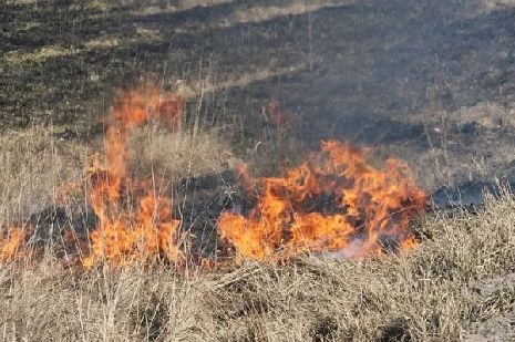 В пяти муниципалитетах Тамбовской области ожидается высокий класс пожарной опасности