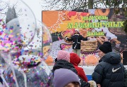 DSC_9533.jpg
