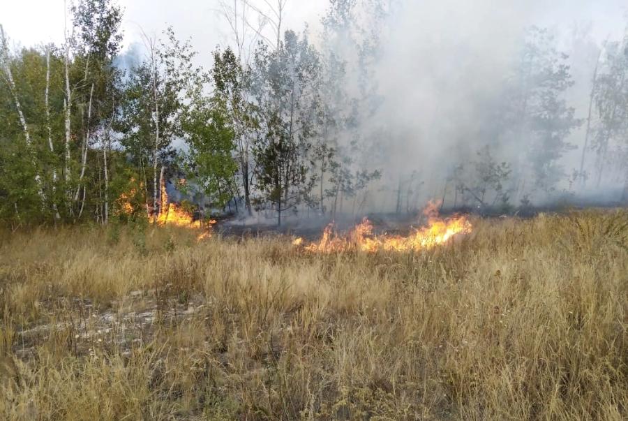 В Рассказовском районе вновь случился лесной пожар