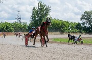 DSC_0160.jpg