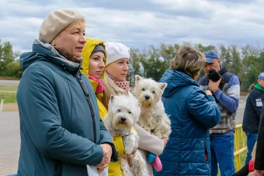 В Тамбове прошла выставка собак "Осенняя заря"