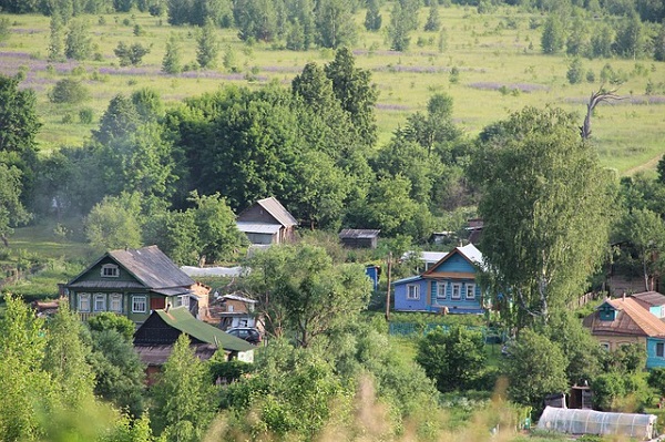 Жители двух сел Гавриловского района живут без дорог и магазинов 